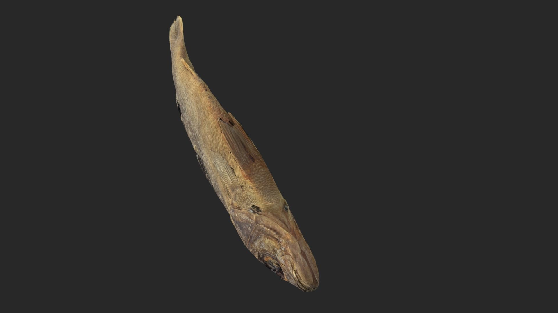 Scanned photorealistic dried fish Low-poly 3D model_10