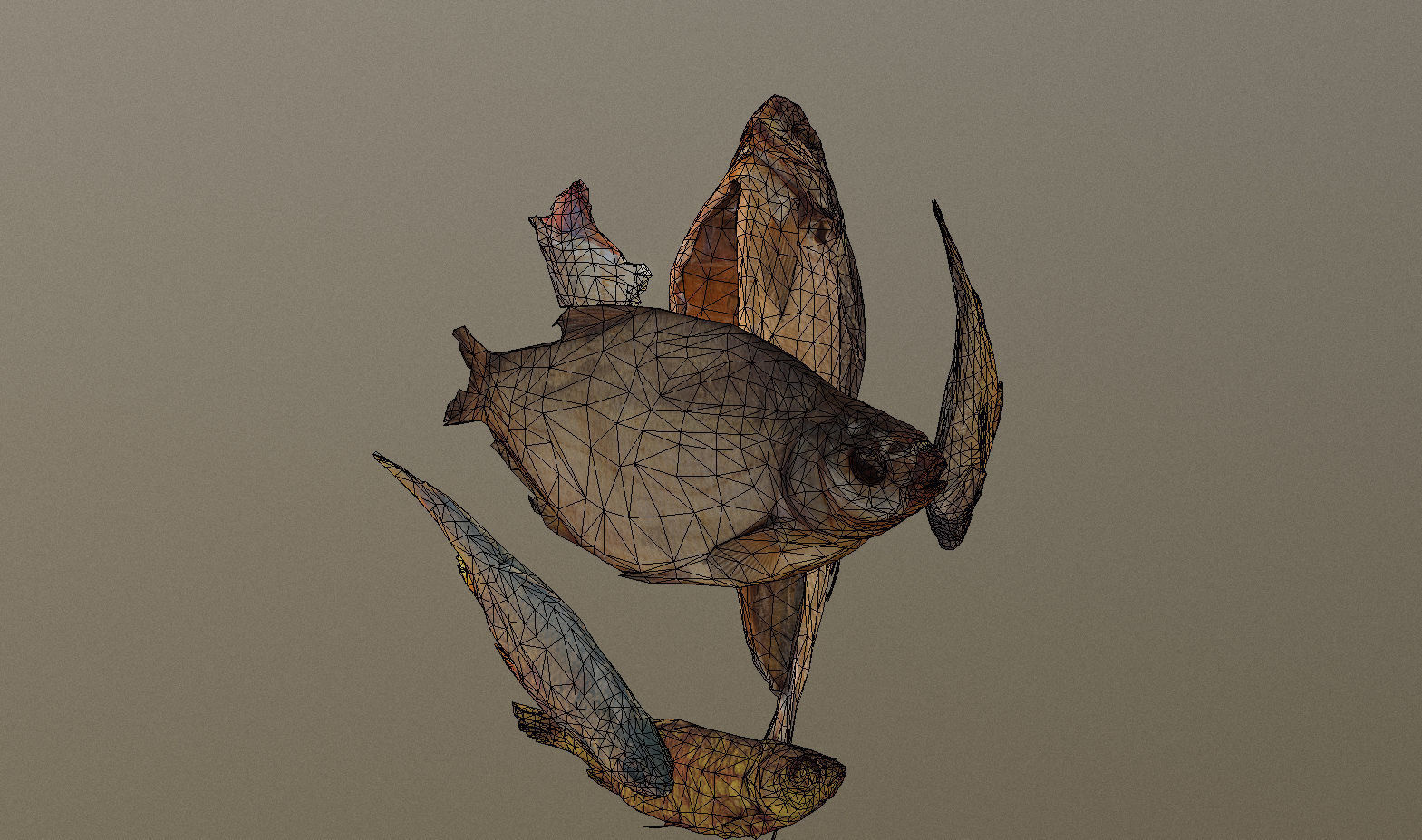 Scanned photorealistic dried fish Low-poly 3D model_32