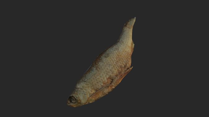 Scanned photorealistic dried fish Low-poly 3D model 2