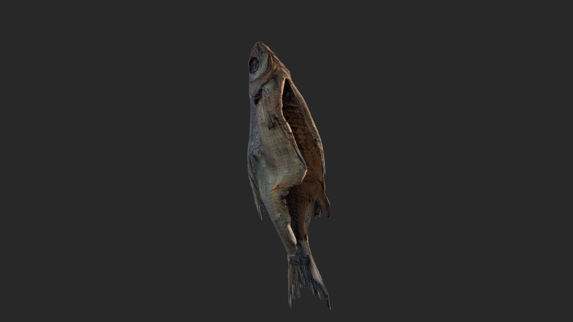 Scanned photorealistic dried fish Low-poly 3D model_19