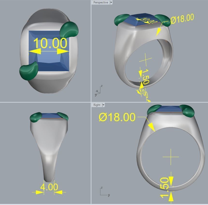 Ring 14 3D print model_1