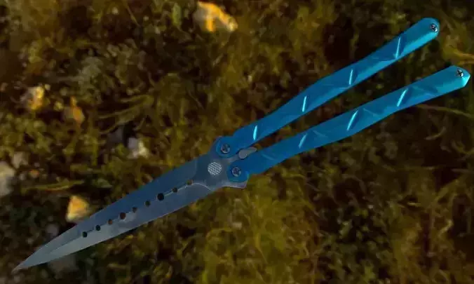 Butterfly knife