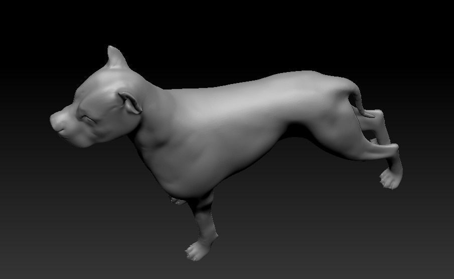 Argentine Dogo 3D print model_10