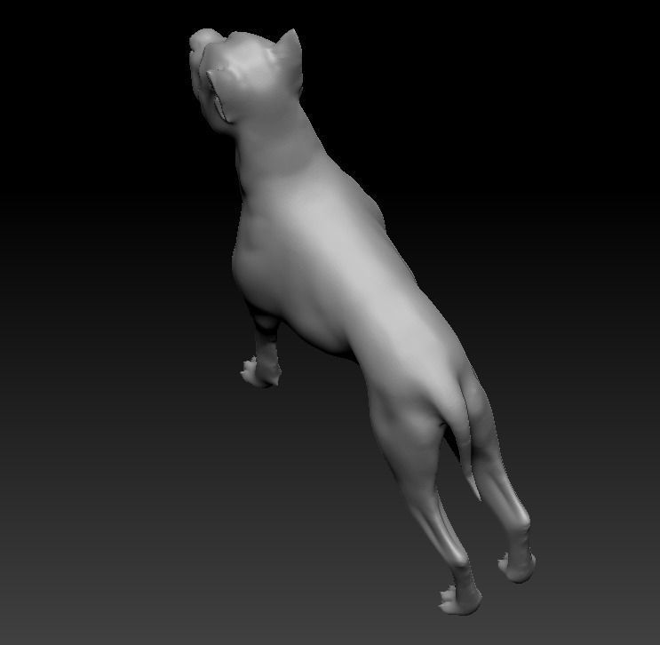 Argentine Dogo 3D print model_11