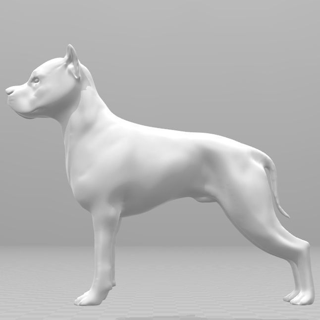 Argentine Dogo 3D print model_24