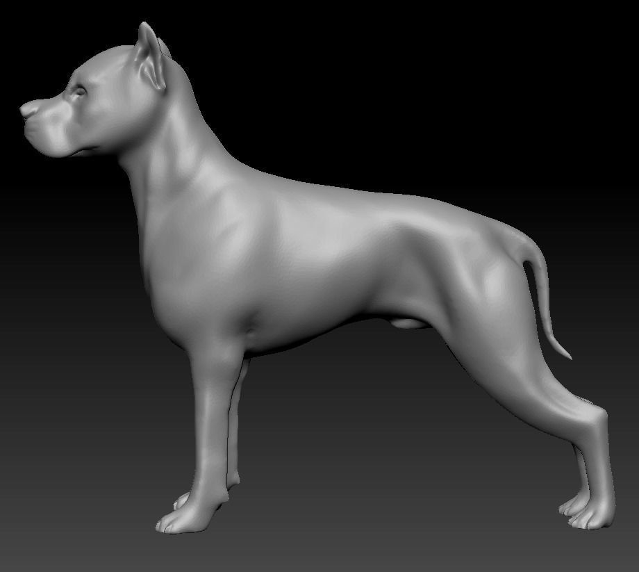 Argentine Dogo 3D print model_5