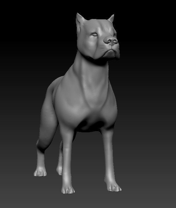 Argentine Dogo 3D print model_12