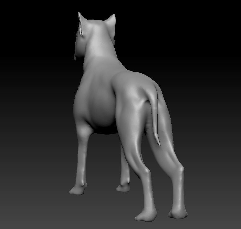 Argentine Dogo 3D print model_2