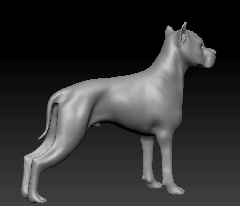 Argentine Dogo 3D print model_18