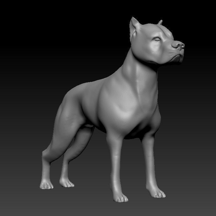 Argentine Dogo 3D print model_15