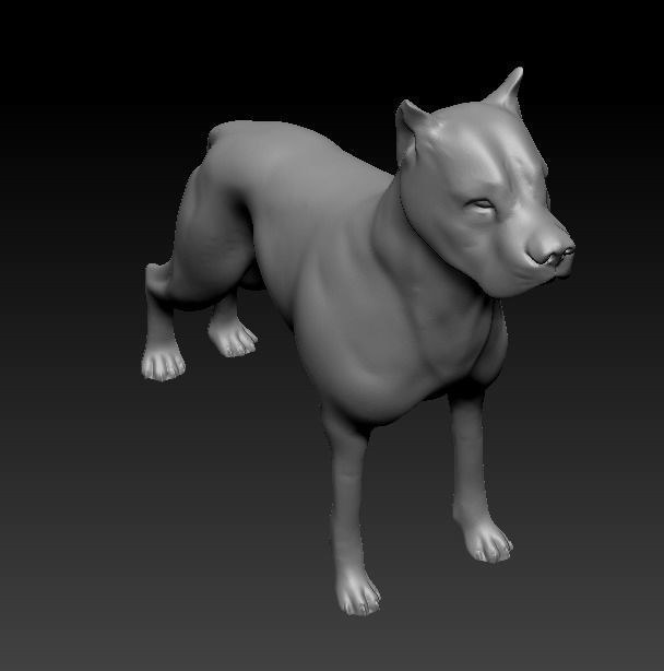 Argentine Dogo 3D print model_8