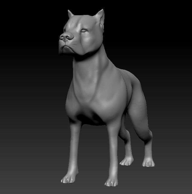Argentine Dogo 3D print model_7