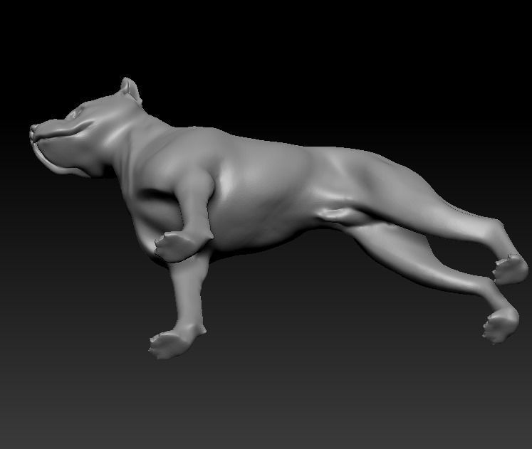 Argentine Dogo 3D print model_13