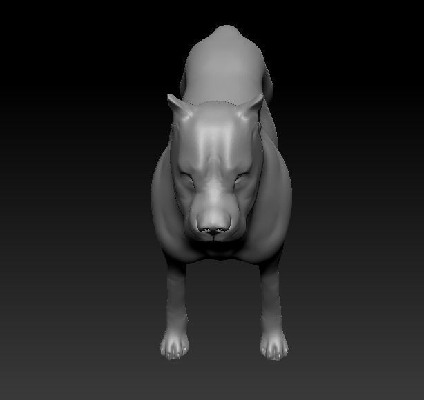 Argentine Dogo 3D print model_9