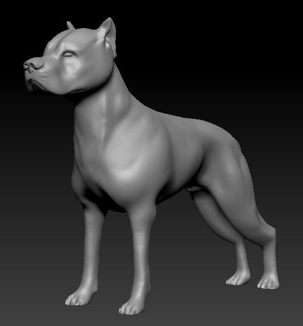 Argentine Dogo 3D print model_6