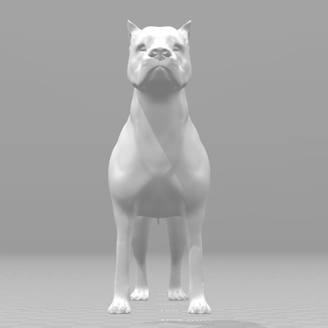 Argentine Dogo 3D print model_22