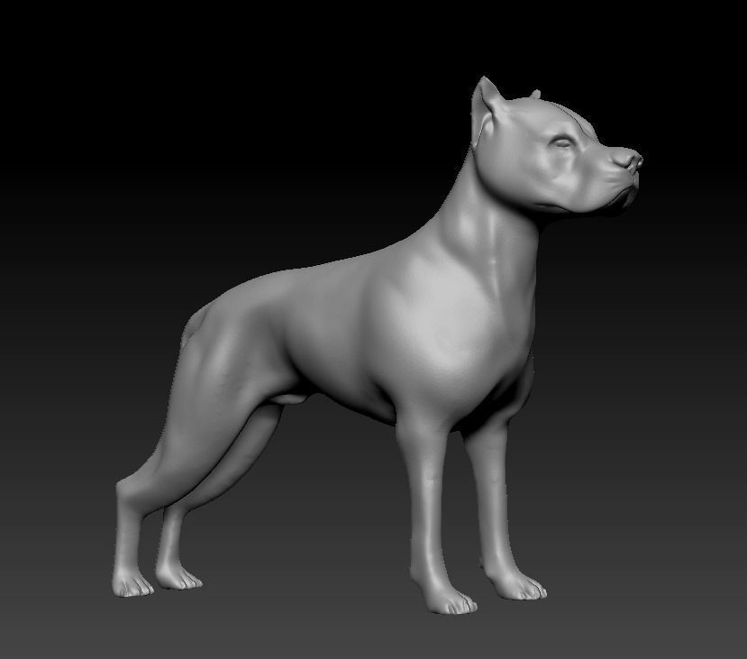 Argentine Dogo 3D print model_16