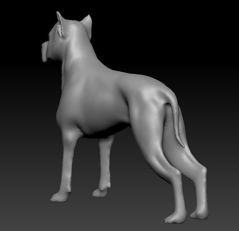 Argentine Dogo 3D print model_3