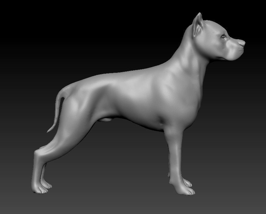 Argentine Dogo 3D print model_17