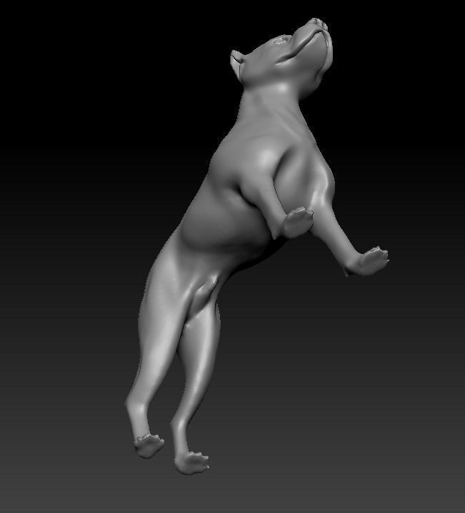 Argentine Dogo 3D print model_14