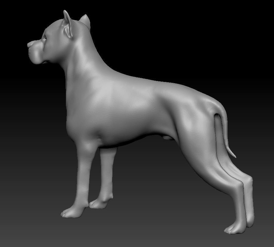 Argentine Dogo 3D print model_4