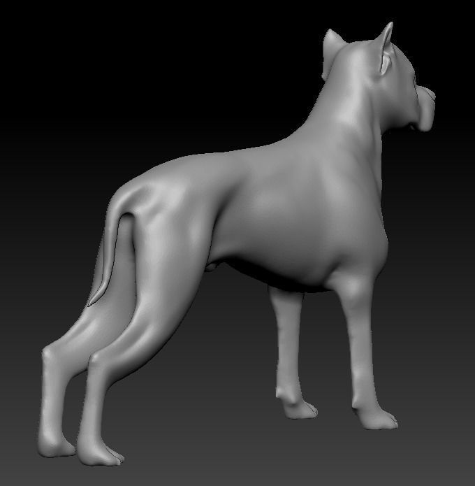 Argentine Dogo 3D print model_19