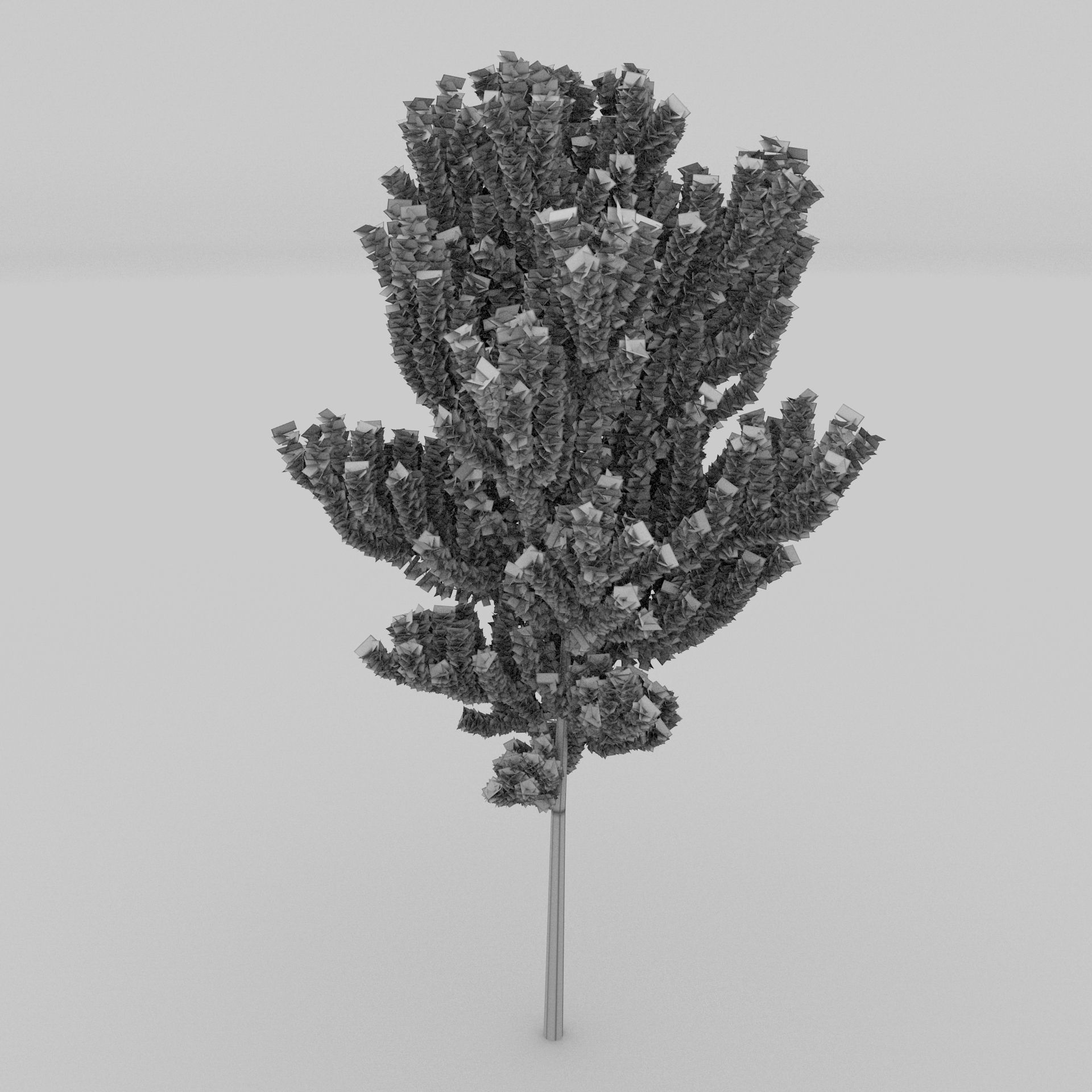 Birch Tree Low-poly 3D model_26