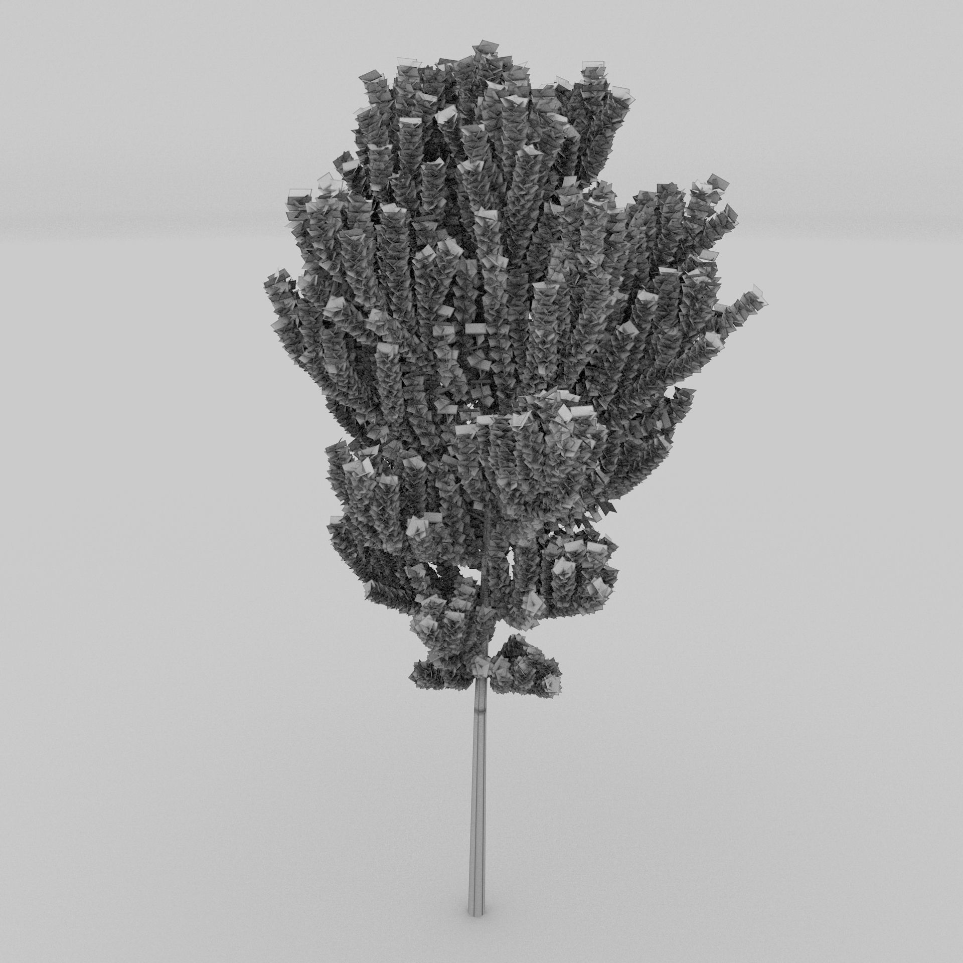 Birch Tree Low-poly 3D model_24