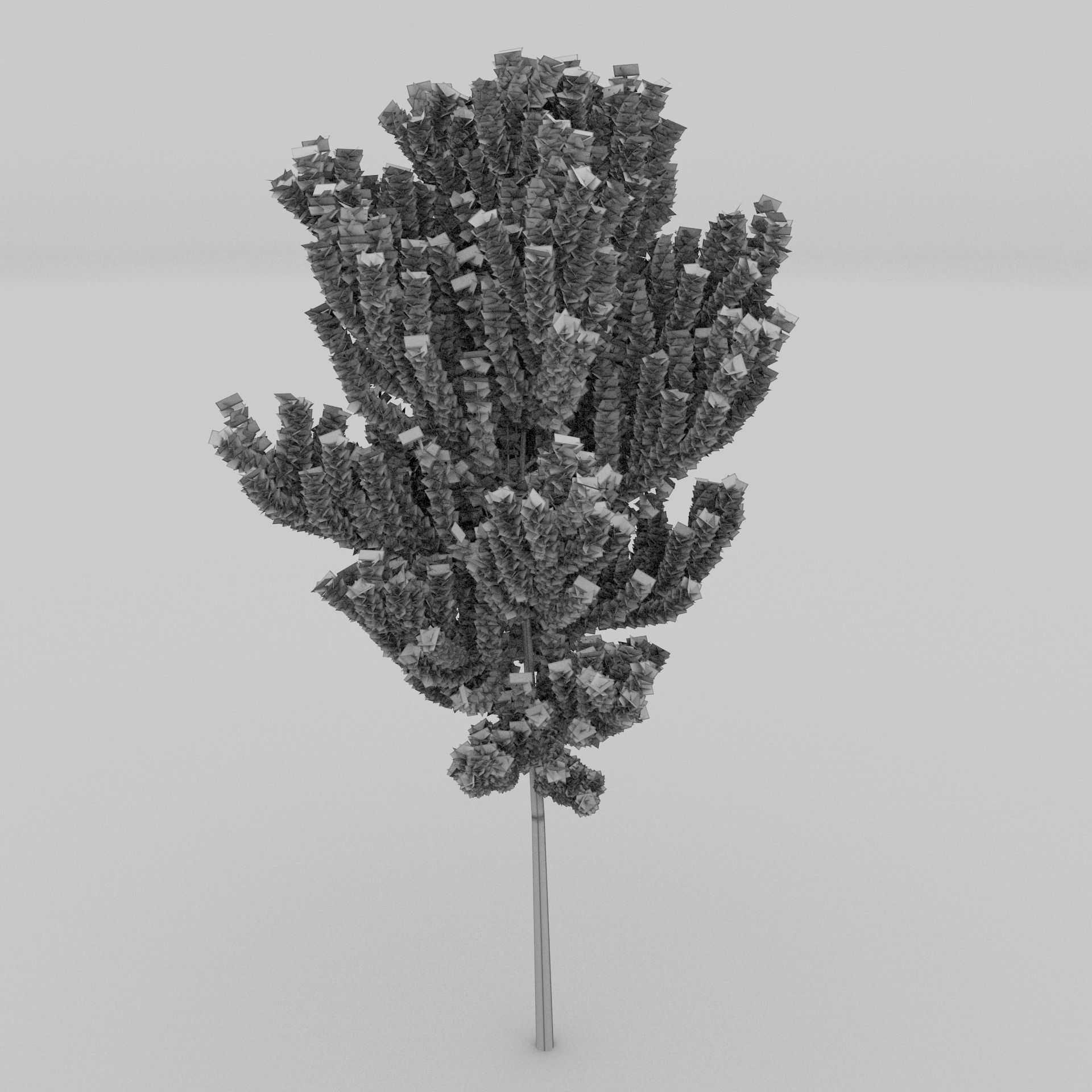 Birch Tree Low-poly 3D model_25