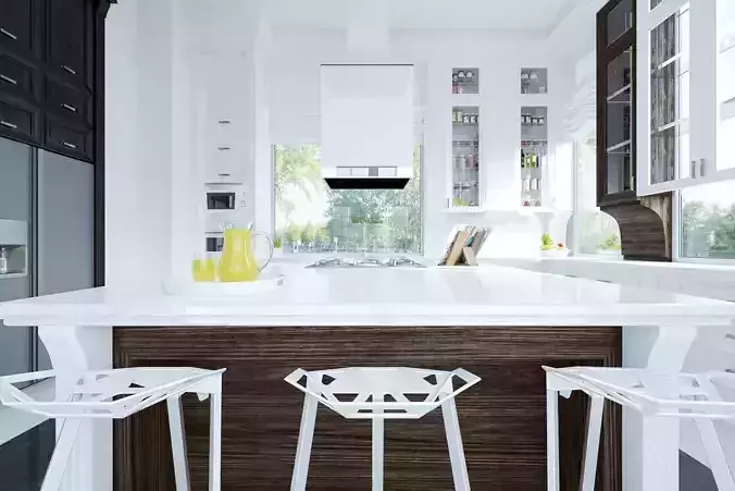 Royal kitchen design interior