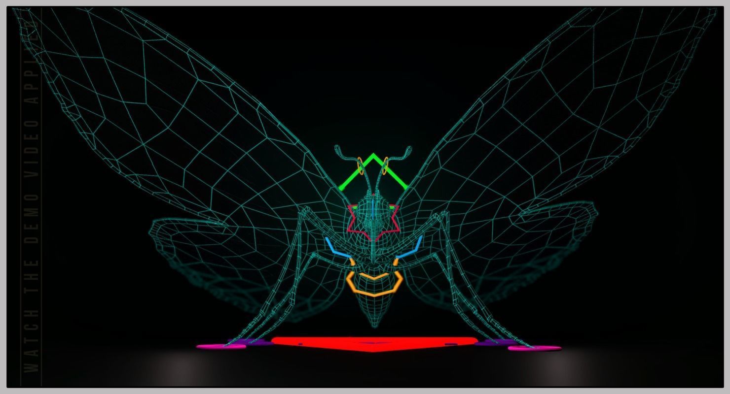 Peacock Butterfly Low-poly 3D model_13