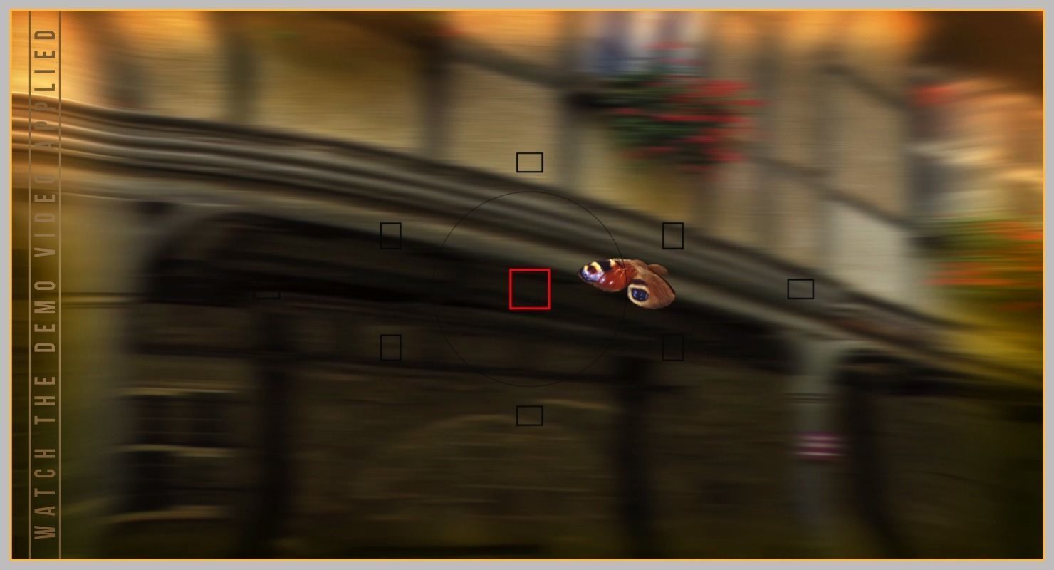 Peacock Butterfly Low-poly 3D model_28