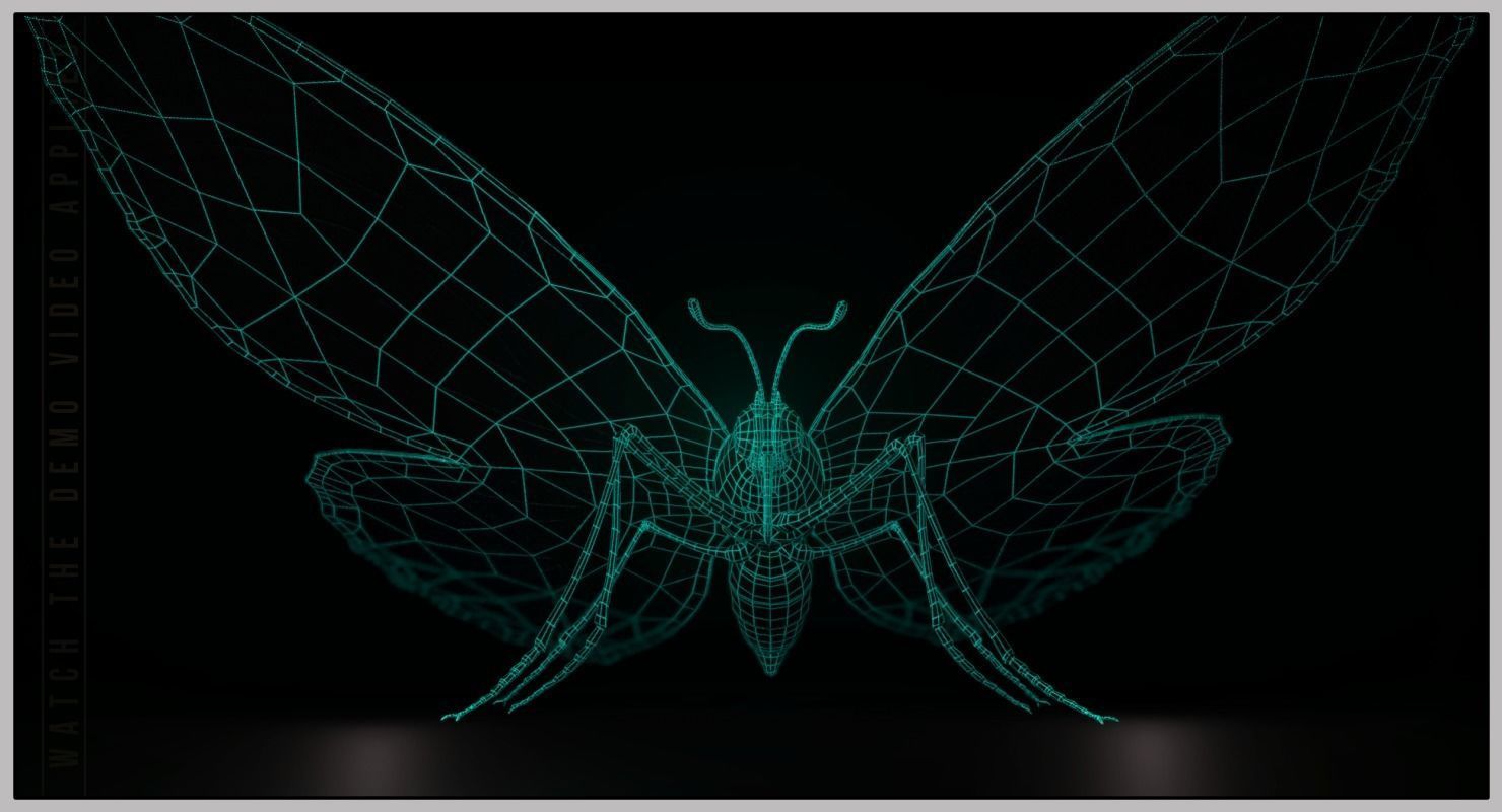 Peacock Butterfly Low-poly 3D model_12