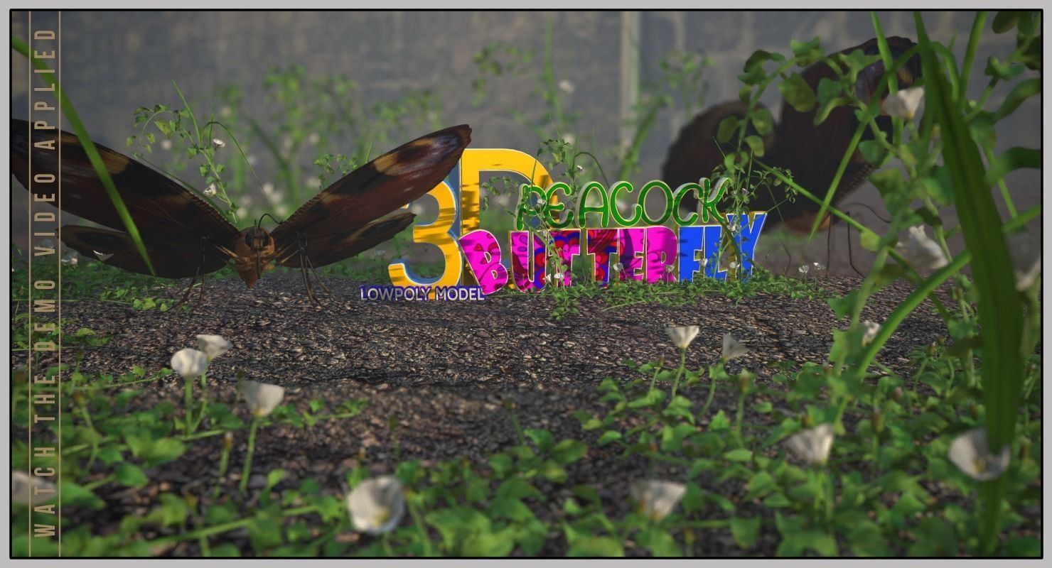 Peacock Butterfly Low-poly 3D model_19