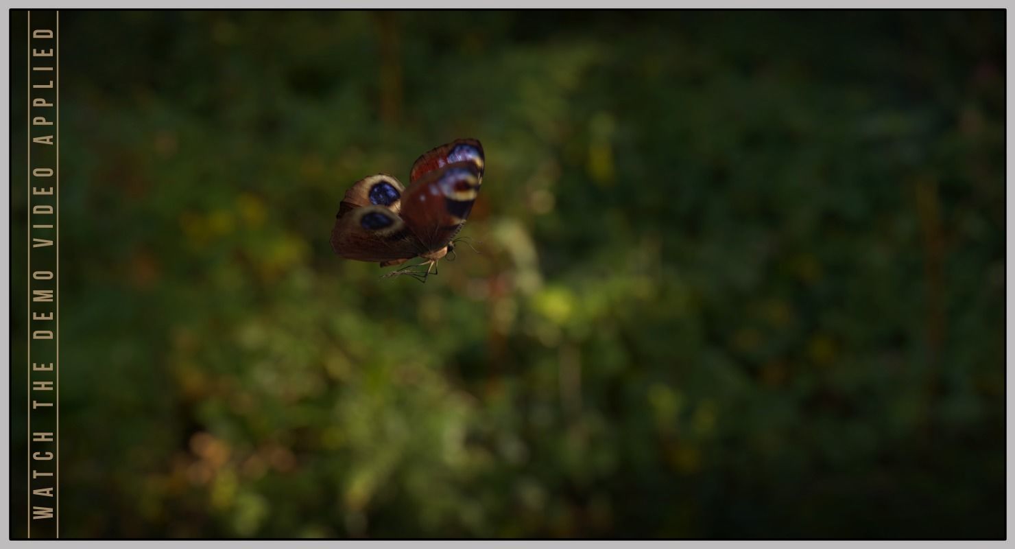 Peacock Butterfly Low-poly 3D model_26