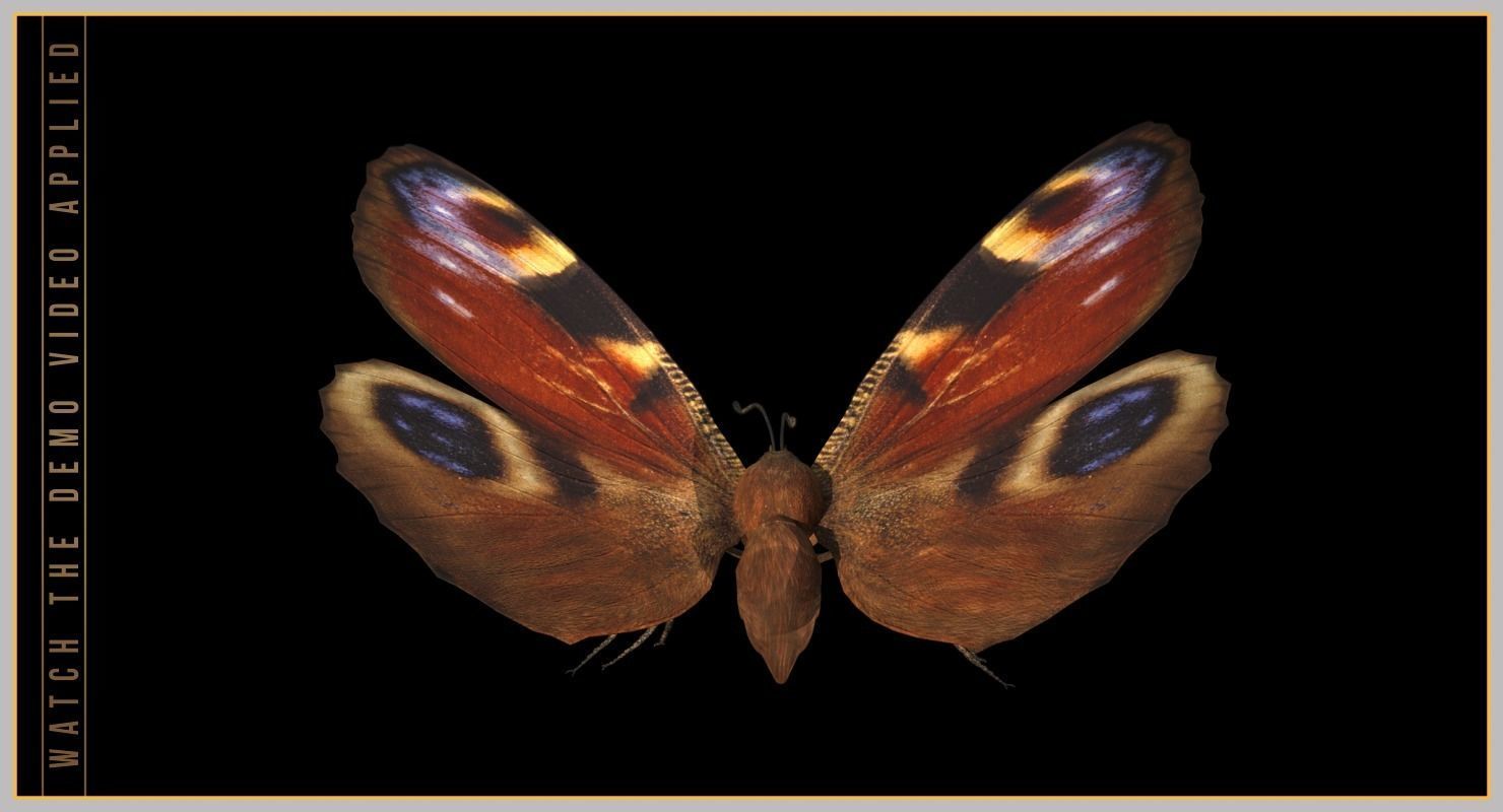 Peacock Butterfly Low-poly 3D model_8