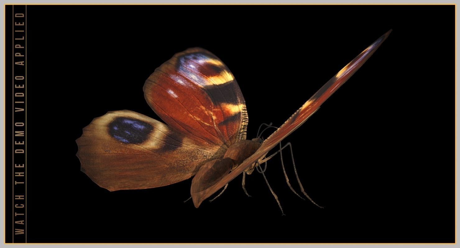 Peacock Butterfly Low-poly 3D model_7