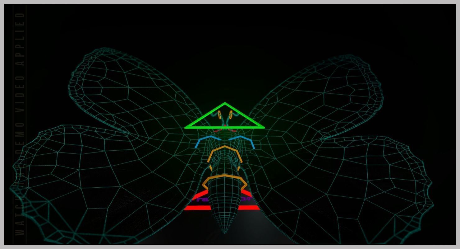 Peacock Butterfly Low-poly 3D model_14