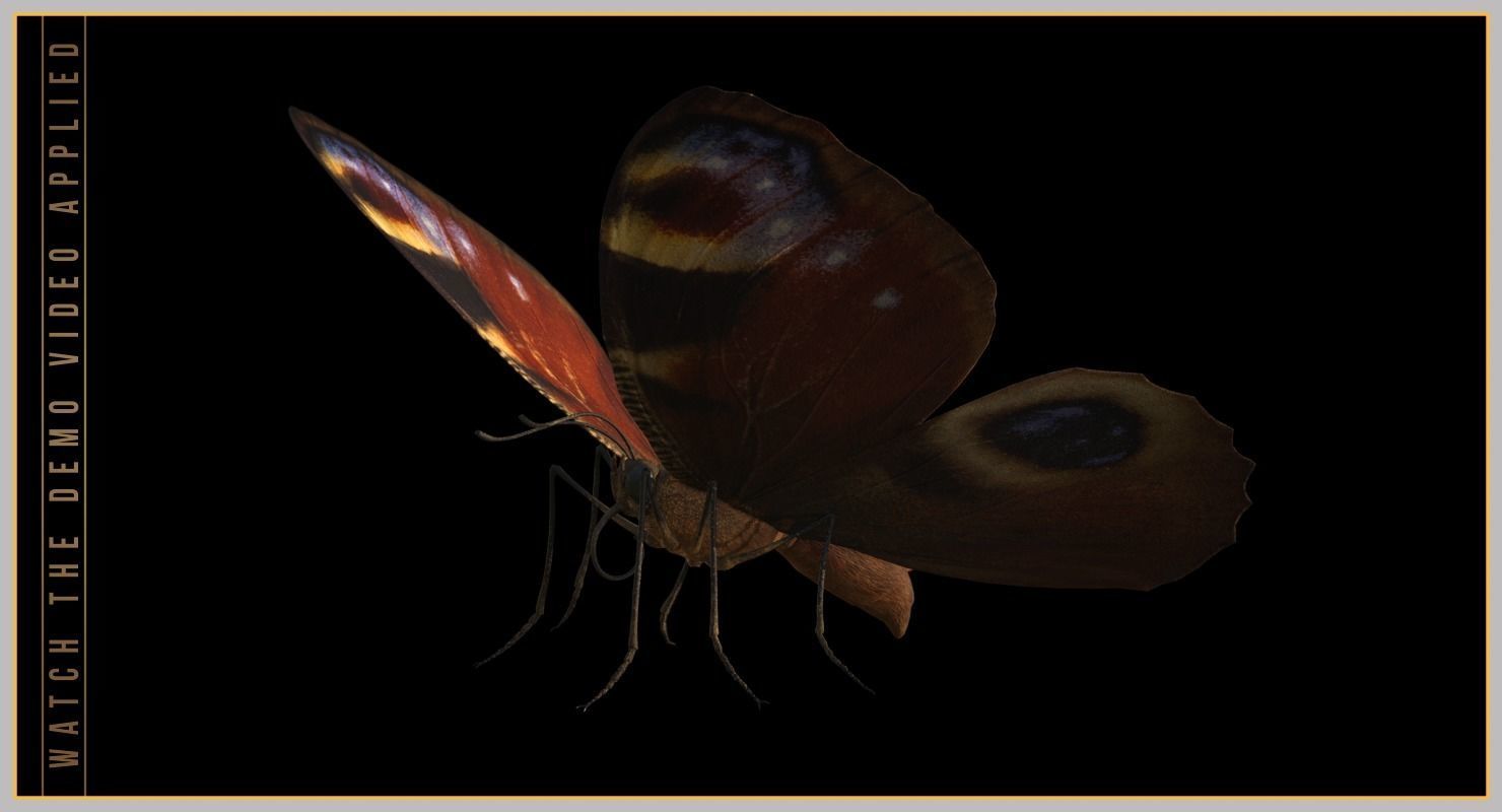 Peacock Butterfly Low-poly 3D model_4