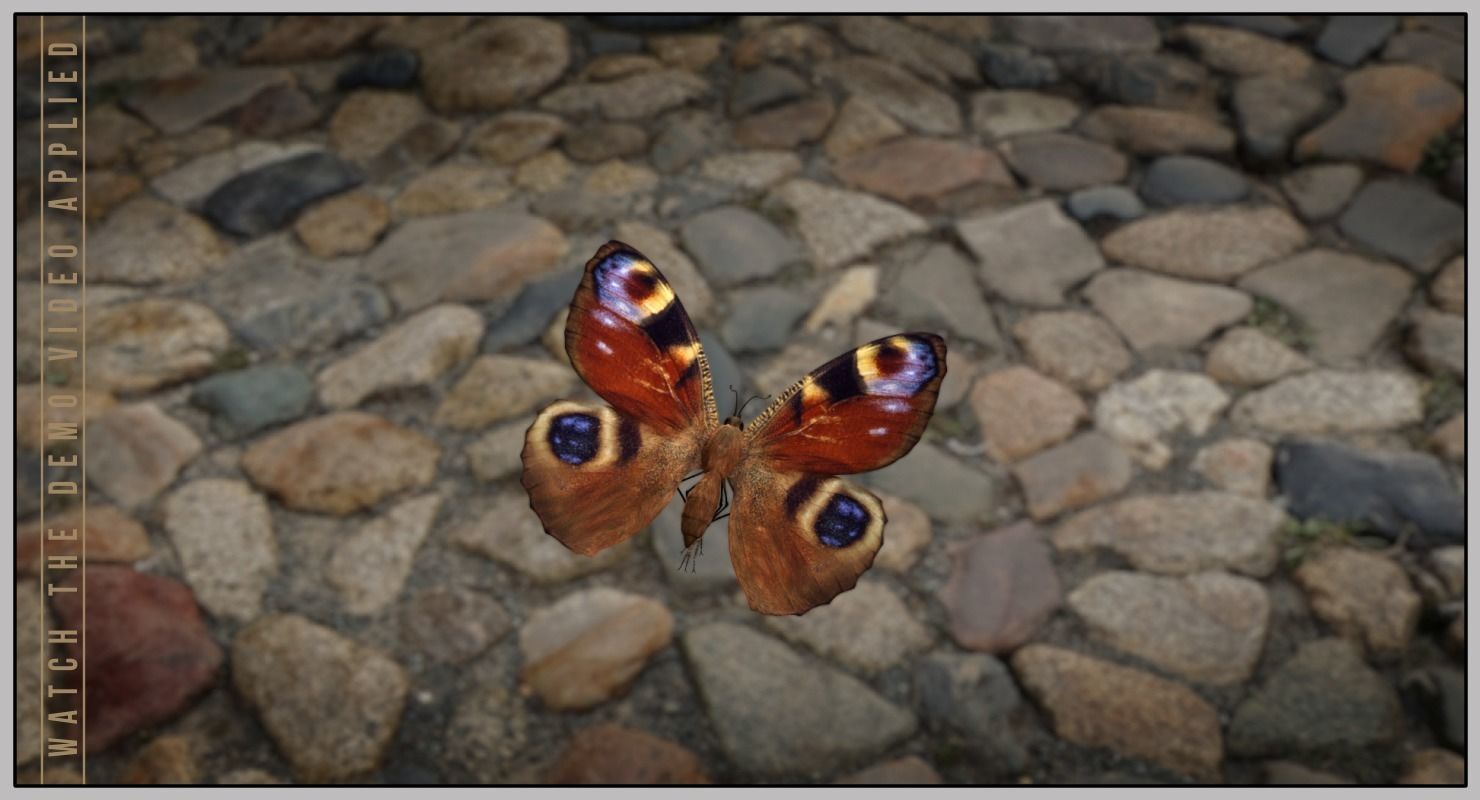 Peacock Butterfly Low-poly 3D model_21