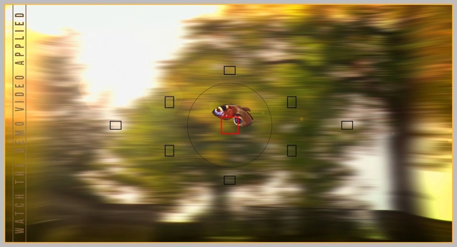 Peacock Butterfly Low-poly 3D model_37