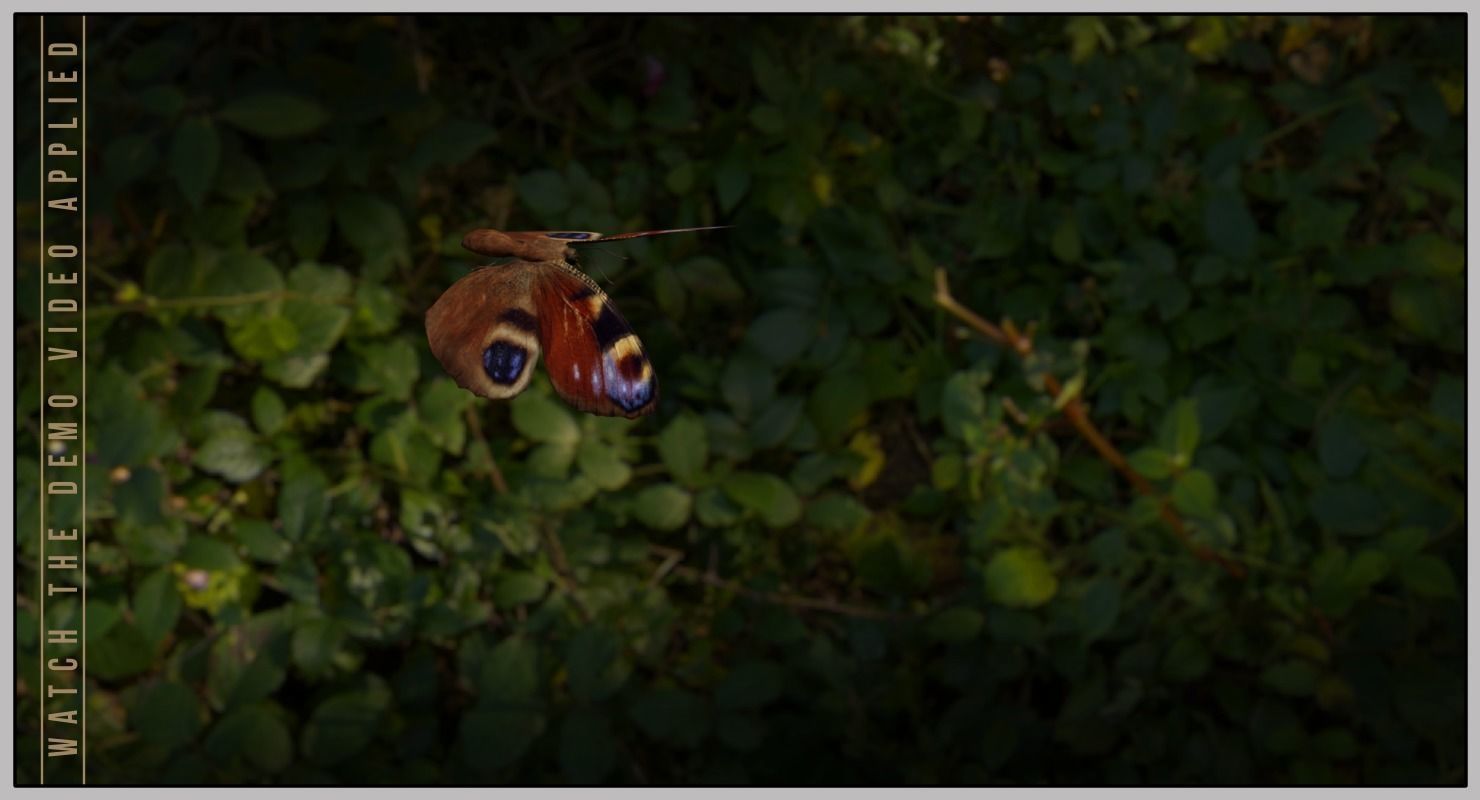 Peacock Butterfly Low-poly 3D model_25