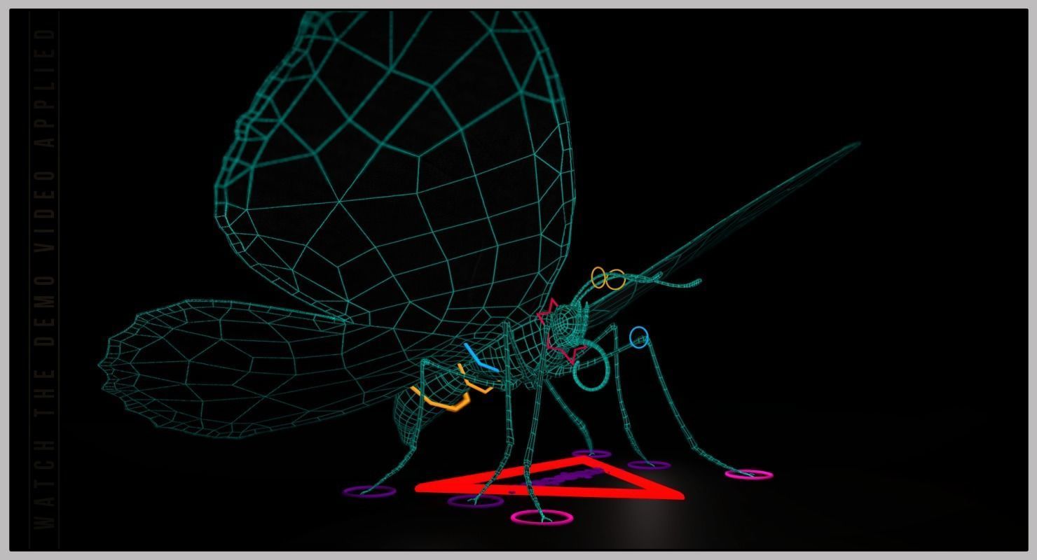 Peacock Butterfly Low-poly 3D model_15