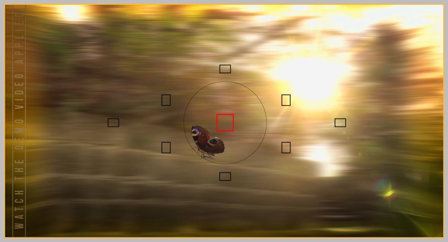 Peacock Butterfly Low-poly 3D model_36