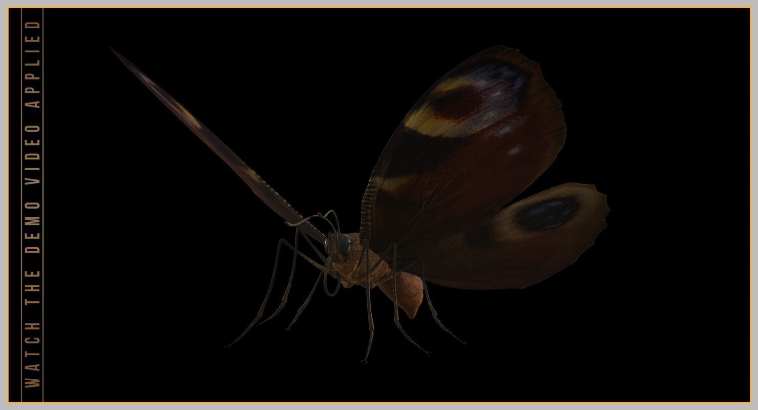 Peacock Butterfly Low-poly 3D model_2