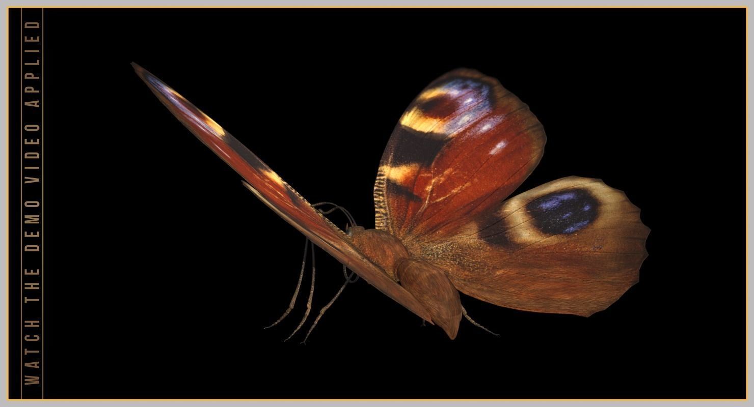 Peacock Butterfly Low-poly 3D model_6