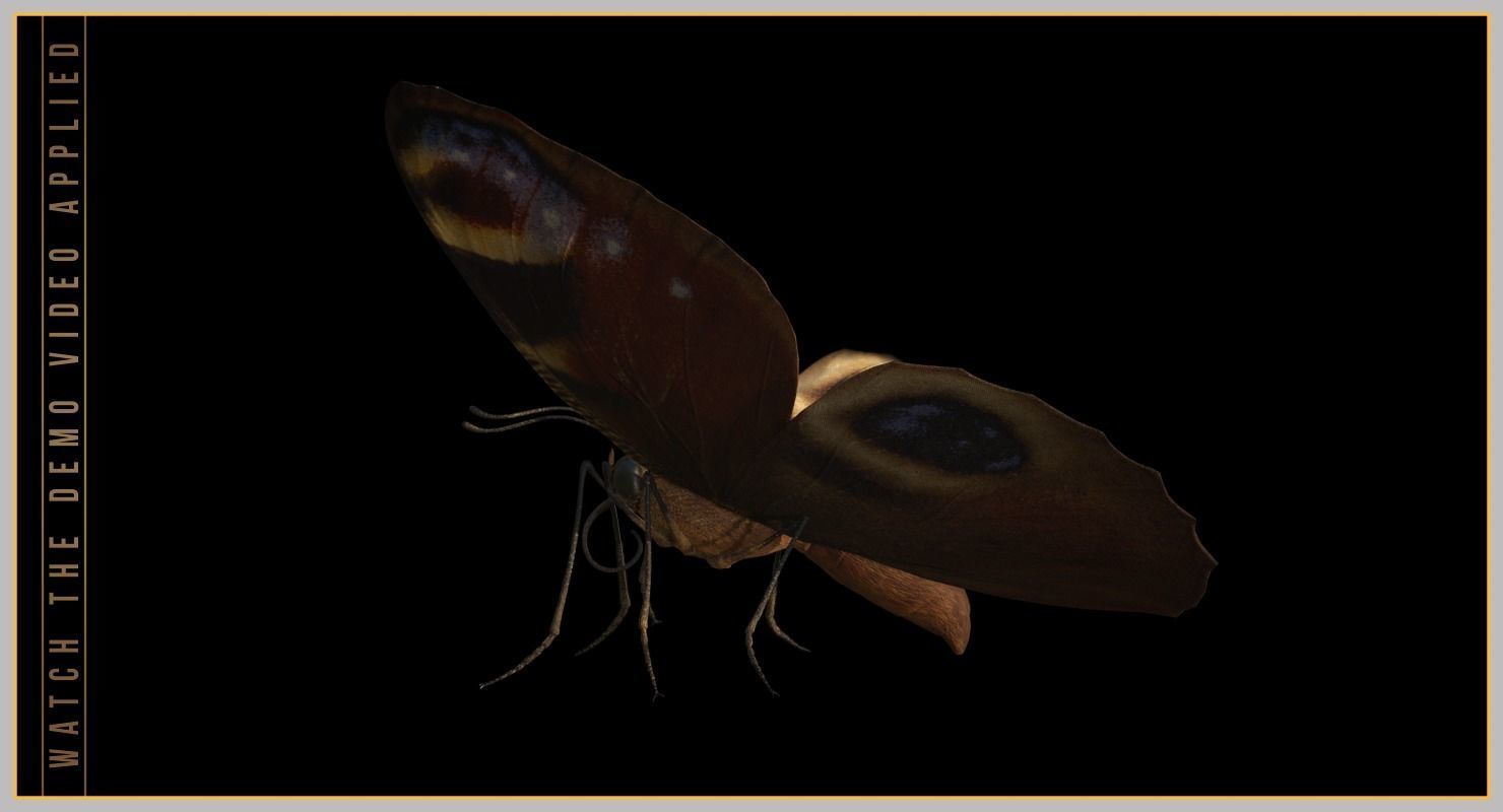 Peacock Butterfly Low-poly 3D model_5