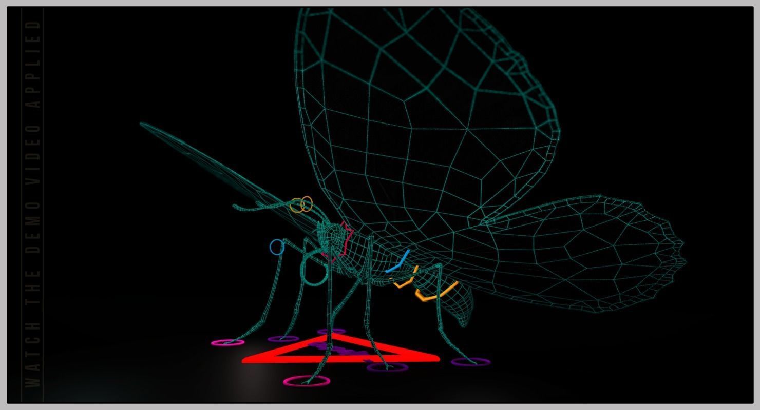 Peacock Butterfly Low-poly 3D model_16