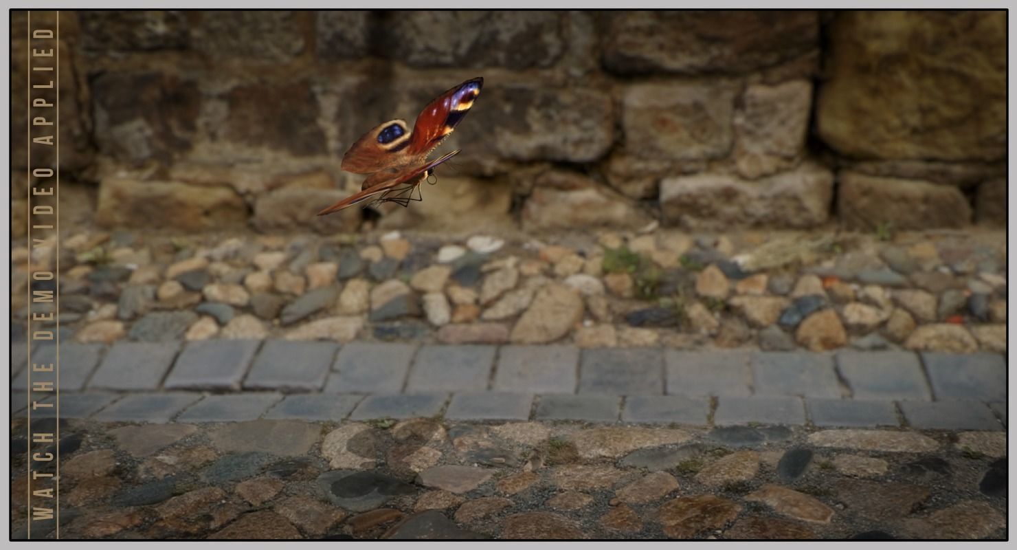 Peacock Butterfly Low-poly 3D model_23