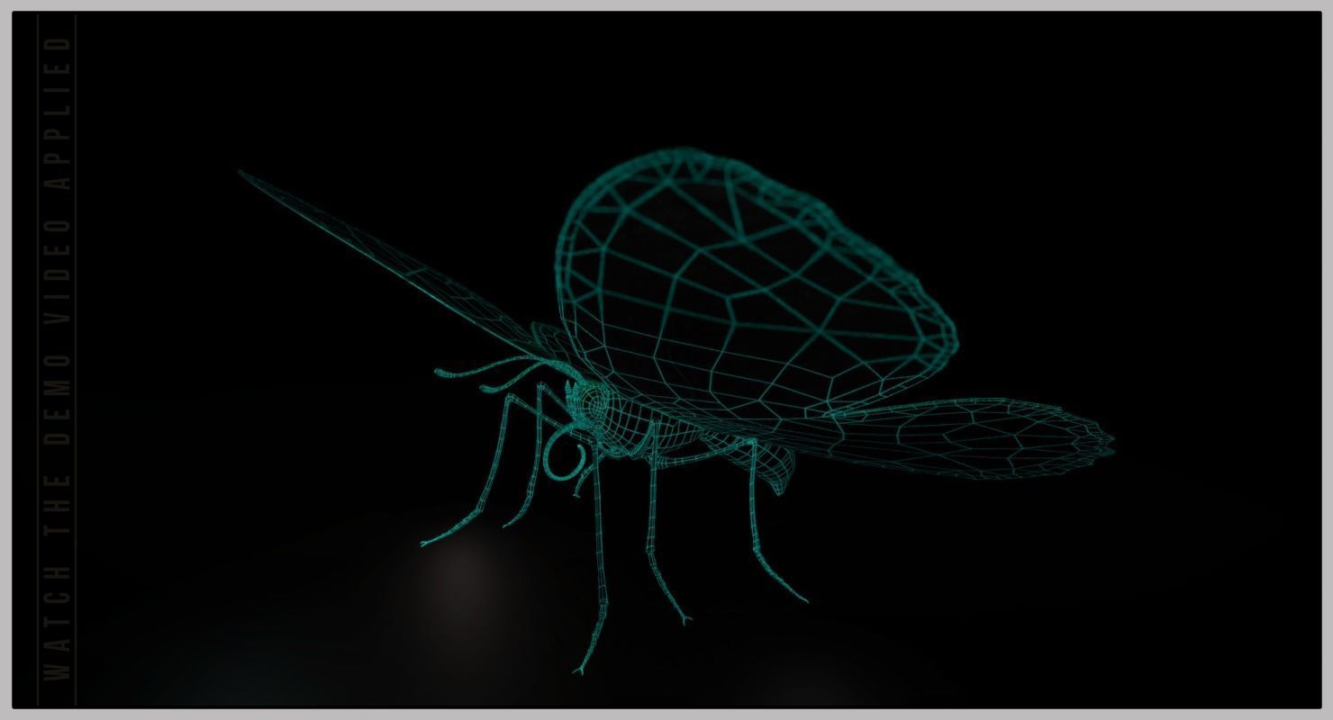 Peacock Butterfly Low-poly 3D model_10